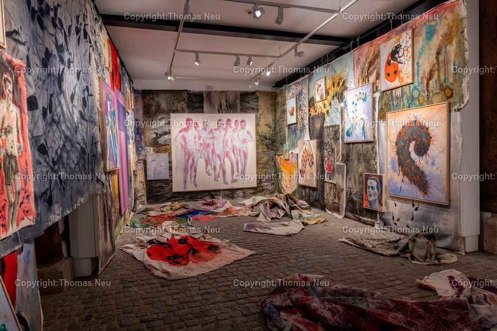 DSC_6214 | Bensheim, Museum der Stadt, Ausstellung „The last Party of Diversity“ im Museum Bensheim zeigt Werke des Künstlers Andrej Dúbravský, Bild: Thomas Neu