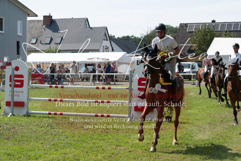 DSC_0711 | Pferde- und Turnierfotografie in Westsachsen. Pferdeportraits, Auftragszeichnungen und intuitive Kunst.