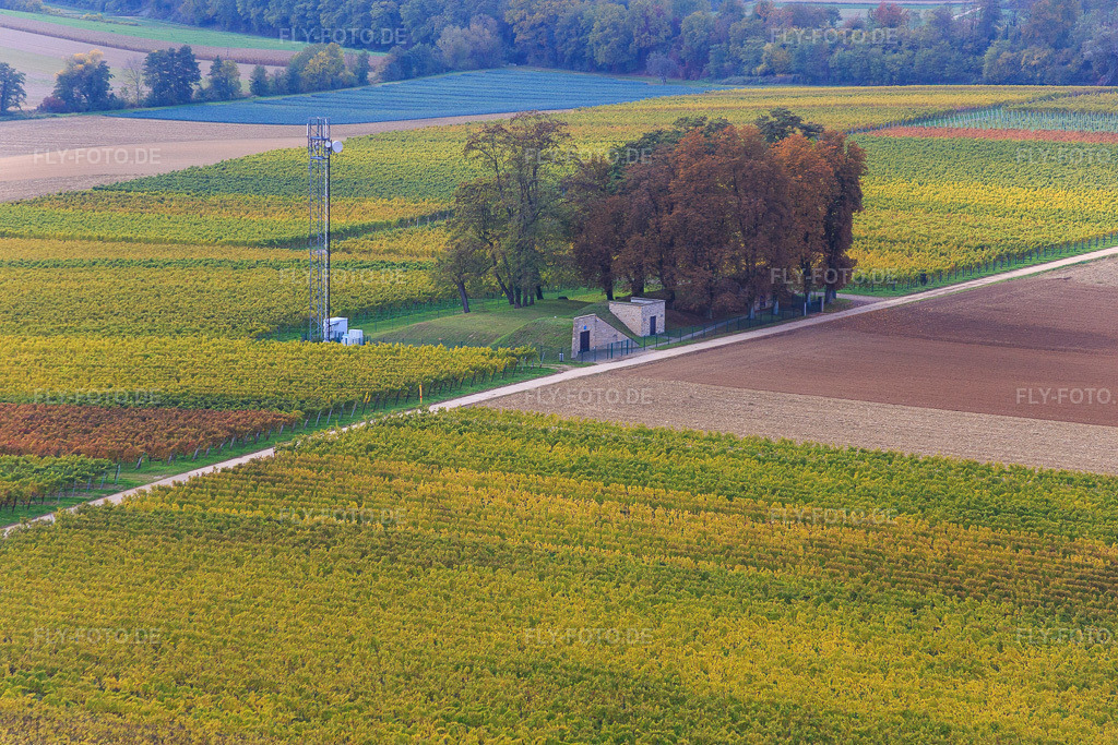 Luftbild: Wasserbrunnen und Mobilfunkmast am Höhenweg in Minfeld im Bundesland Rheinland-Pfalz in Deutschland. Foto: IMG_084567.jpg vom 23.10.2015 durch Werner Riehm/FLY-FOTO.de