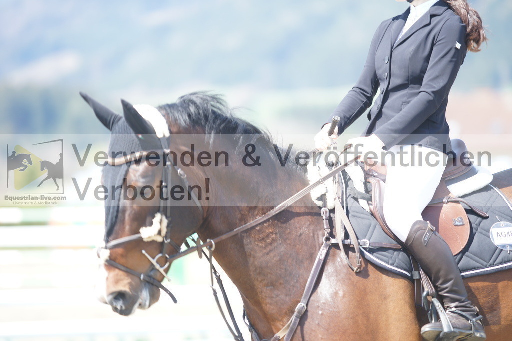 DSC02669 | equestrian-live-com