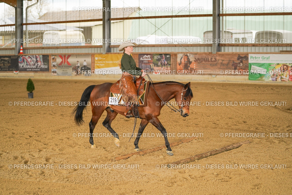 DSC04290 | Pferdegrafie