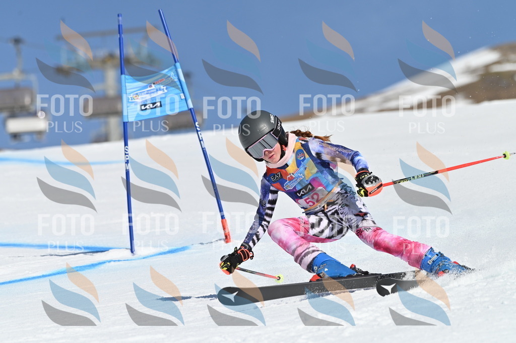 BGV_8579 | holidayphoto