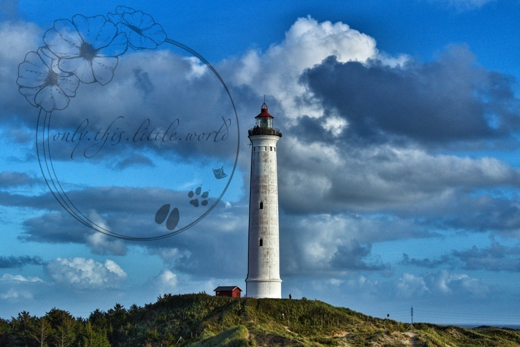 IMG_9768-02 | only.this.little.world - Realisiert mit Pictrs.com