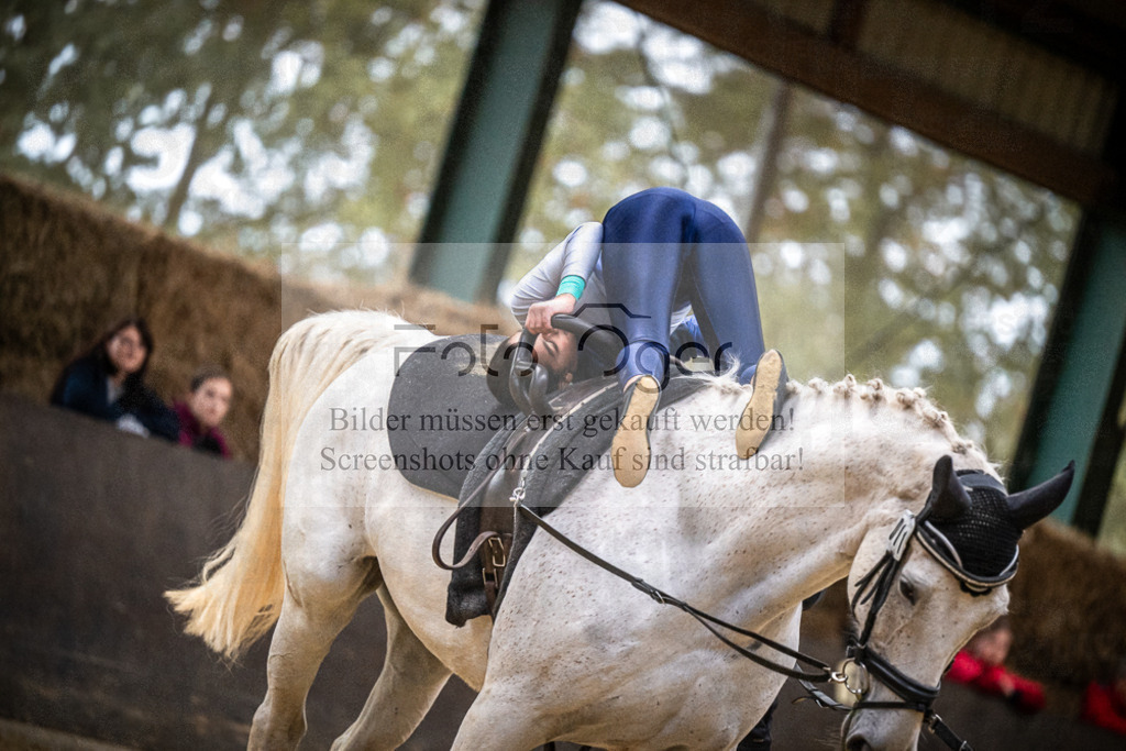 DOS_0278 | Entdecke hochwertige Reitturnierfotos von Foto Oger. Professionell, emotional und authentisch – jetzt Lieblingsmomente im Shop bestellen.Deutschlandweite Turnierfotografie. - Realisiert mit Pictrs.com