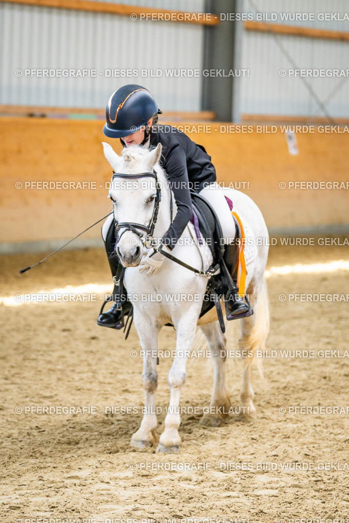 DSC03464 | Pferdegrafie