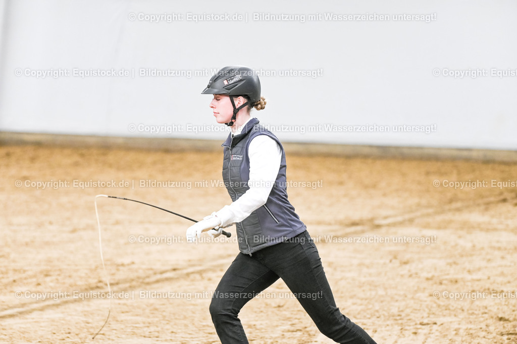20260307_Hengstvorstellung-Marbach_0073 | equistock