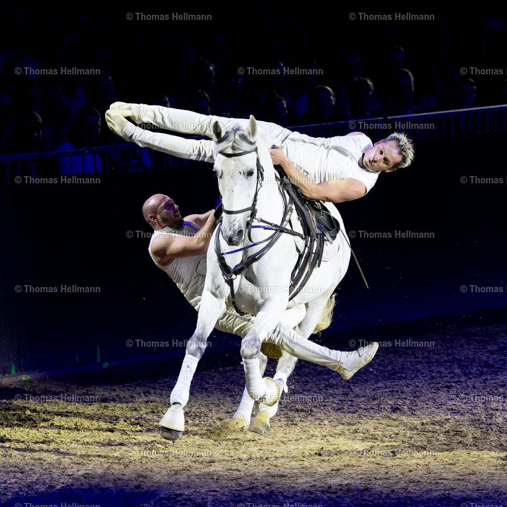 TH_Hop Top Show_26976 | EQUITANA 2025 am 09.03.25 in Essen