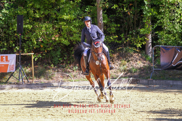 DKP43201 | Turniersportfotografie; Pferdefotografie; Dressurfotografie