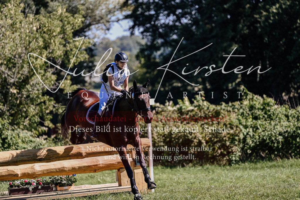 DSC_1764 | Pferde- und Turnierfotografie in Westsachsen. Pferdeportraits, Auftragszeichnungen und intuitive Kunst.