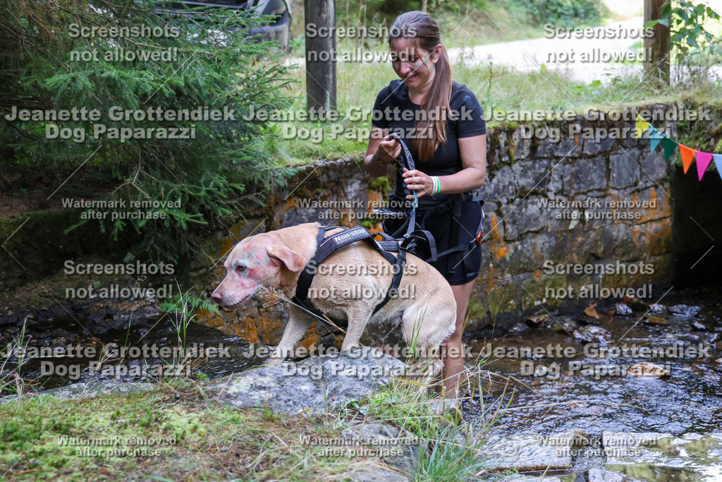 Dog Paparazzi -  TH 26-583 | Dog Paparazzi Jeanette Grottendiek Fotografie & Videografie - Realisiert mit Pictrs.com