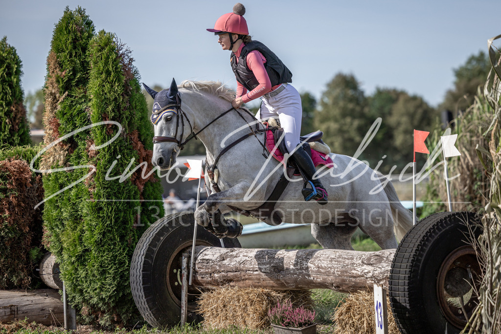 20250907-_3LI9772 | Tierfotografie Pferde, Hunde, Katzen, Haustiere.
Turnierfotografie Reitturniere, Reiten, Springreiten, Dressur in Hanau, dem Main-Kinzig-Kreis und dem Rhein-Main- Gebiet um Frankfurt