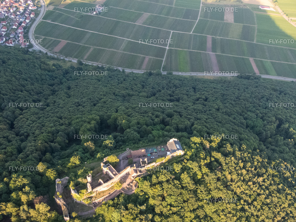 Burgruine Madenburg aus Westen https://madenburg-pfalz.de/ | Luftbild: Burgruine Madenburg aus Westen https://madenburg-pfalz.de/ in Eschbach im Bundesland Rheinland-Pfalz in Deutschland. Foto: P7130212.jpg vom 13.07.2017 durch Werner Riehm/FLY-FOTO.de - Realisiert mit Pictrs.com