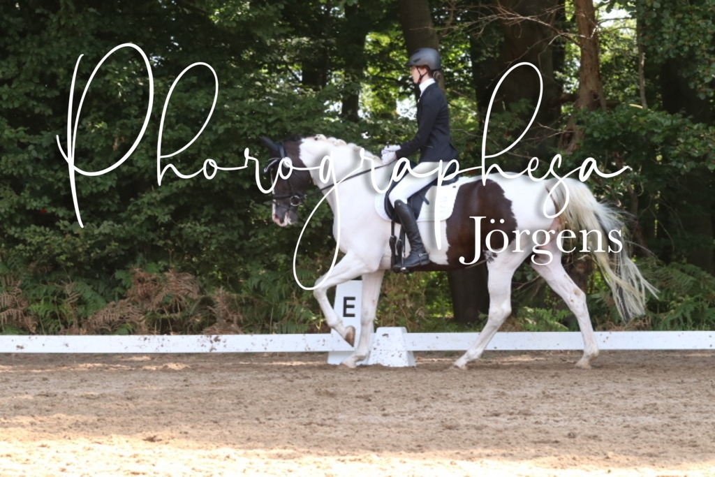 IMG_0645 | photographesa-joergens - Realisiert mit Pictrs.com