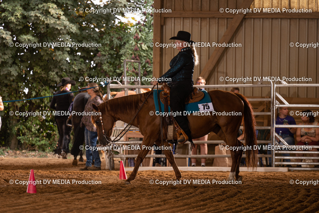 NID00943 | dv-media-shop - Realisiert mit Pictrs.com