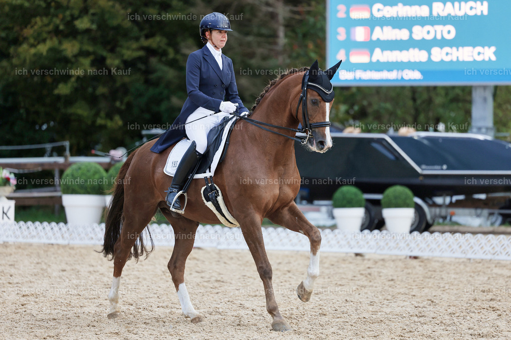 8_2-195-DRESSUR S_  -StoibPH-4524 | working equitationturnier fotograf videograf stoibphotography marixx film working equitation deutschland reitsport turnierfotografie eventfotografie equestrian events