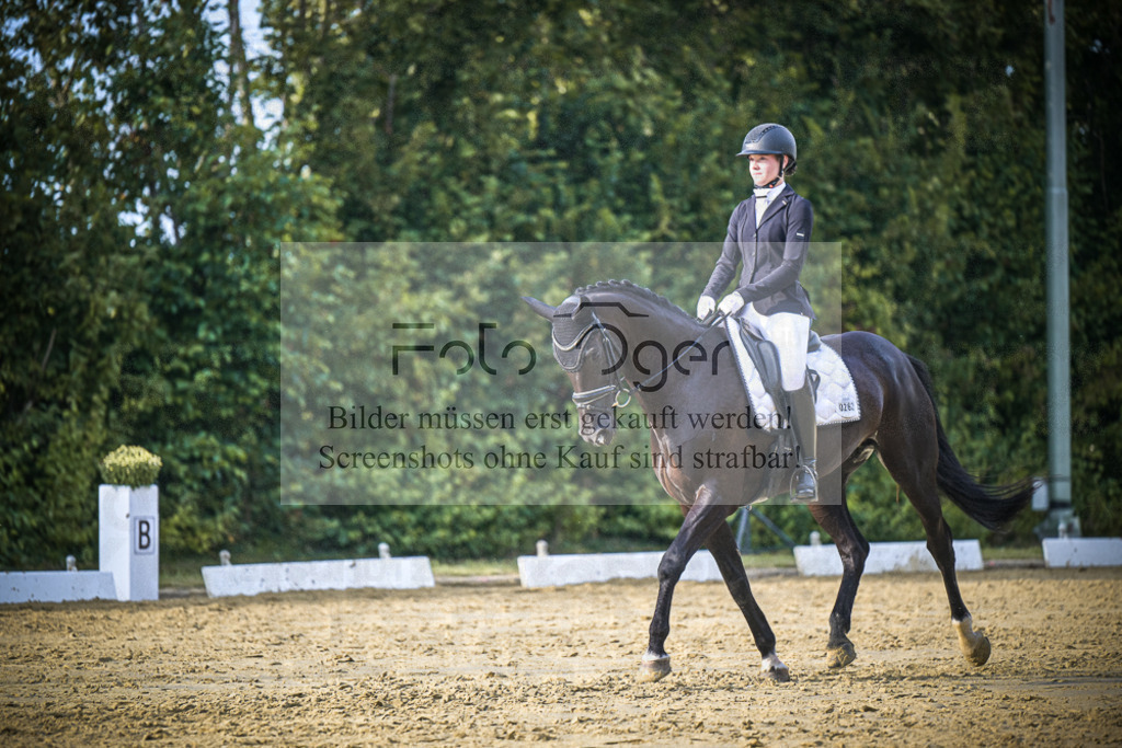 DOS_0773 | Entdecke hochwertige Reitturnierfotos von Foto Oger. Professionell, emotional und authentisch – jetzt Lieblingsmomente im Shop bestellen.Deutschlandweite Turnierfotografie. - Realisiert mit Pictrs.com