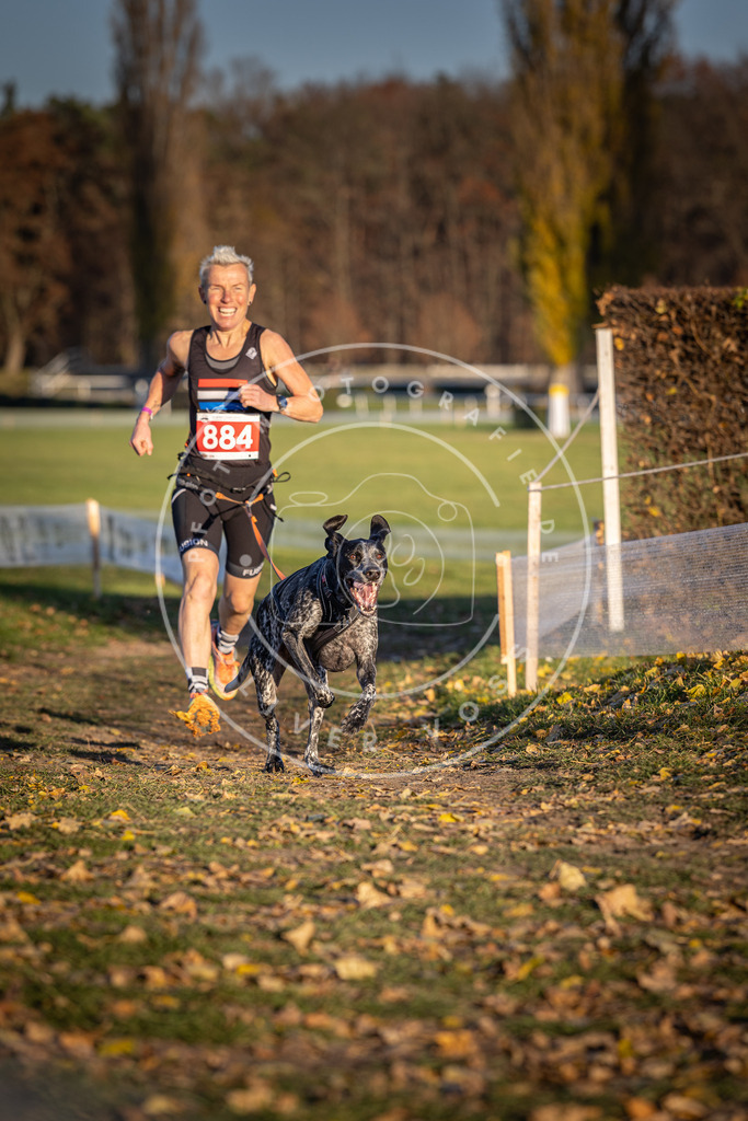 CaniXpix_DV3A4405 | Hundefotografie, Tierfotograf, Pfotenfotografie, Fotoshooting Hund, Hunde Portrait, Hundesport, Hundeportraits, Heideshooting, Hunde, Sportfotograf, Hundefotograf, Turnierhundsport, THS,  - Realisiert mit Pictrs.com