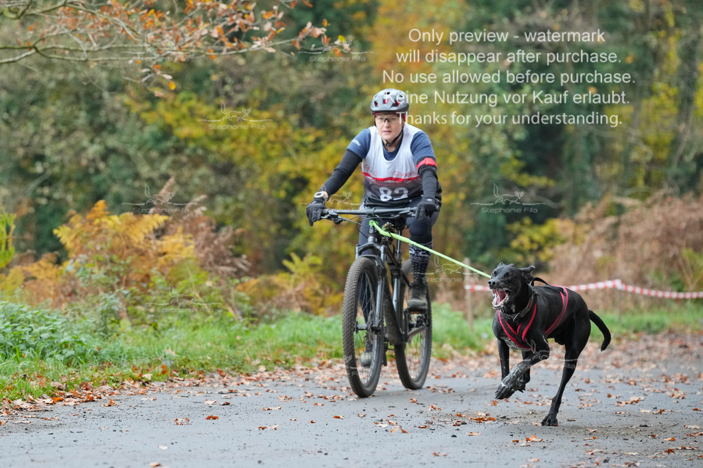 Bike_So-109 | stephaniefillaphotographie - Realisiert mit Pictrs.com