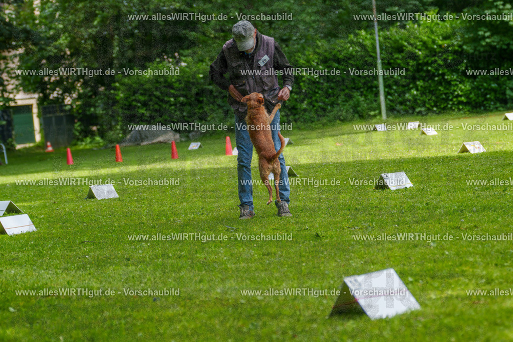 @allesWIRTHgut_Tierfotografie - www.allesWIRTHgut.de - 7R504259 | Professionelle Tierfotografie in Mönchengladbach von Daniel Wirth (allesWIRTHgut). Liebevolle & natürliche Bilder von Hunden & Katzen für unvergessliche Erinnerungen.