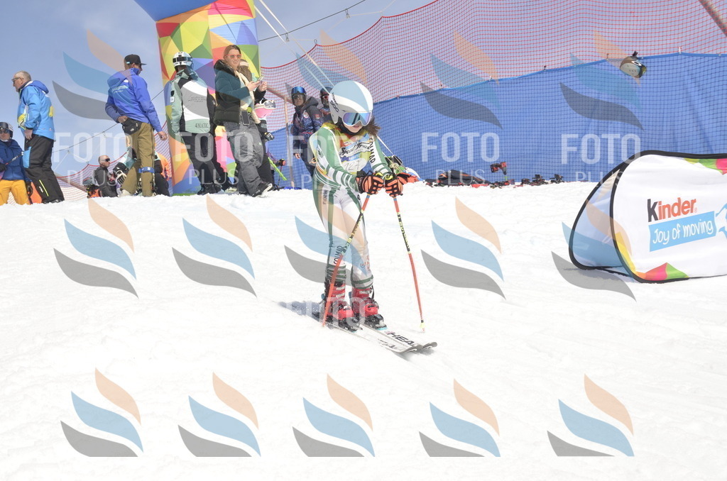 _ELE9616 | holidayphoto