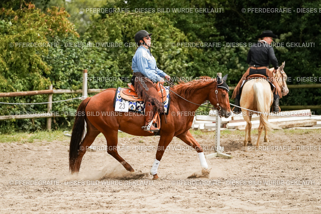 DSC00173 | Pferdegrafie