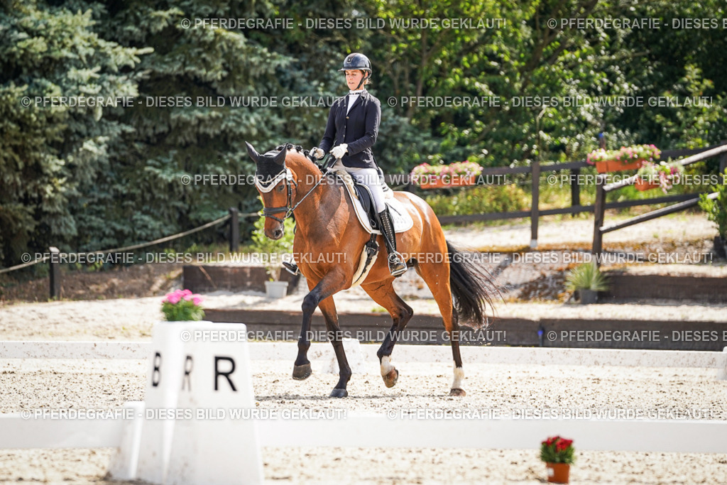 DSC09045 | Pferdegrafie