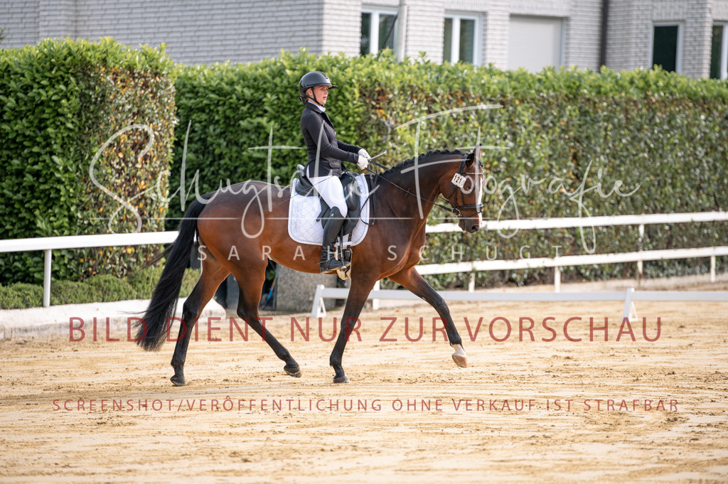 Schugtsche-Aluta25-40.DressurprfA_-51 | Schugtsche Fotografie - Realisiert mit Pictrs.com