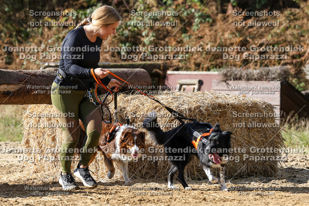Dog Paparazzi - Strongdog 10-25-4884 | Dog Paparazzi Jeanette Grottendiek Fotografie & Videografie - Realisiert mit Pictrs.com