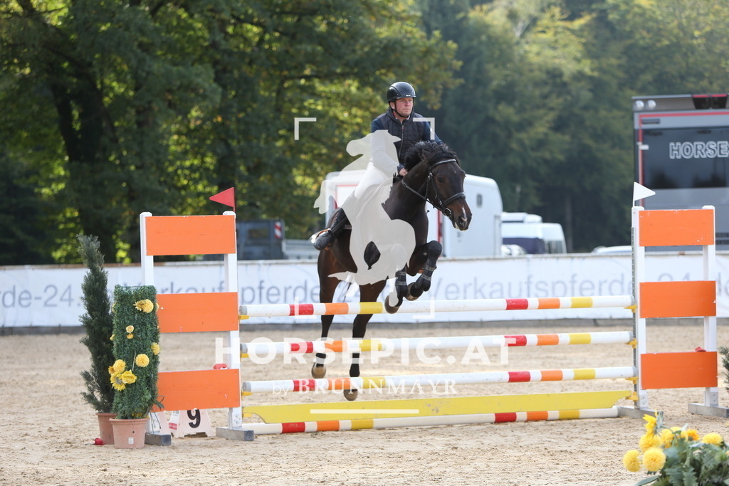 DL2Q6827 | Willkommen bei Brunnmayr - Design & Fotografie – Ihrem Spezialisten für Reitturniere und Pferdeveranstaltungen in Oberösterreich, Salzburg und Bayern! Seit über 17 Jahren sind wir leidenschaftlich dabei.