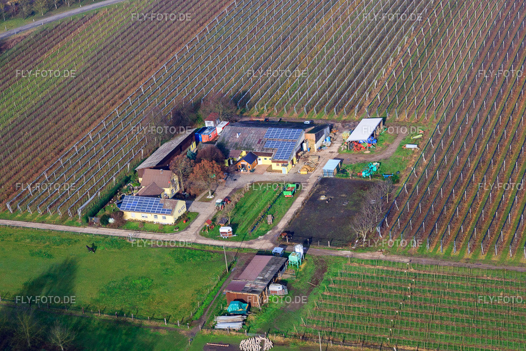 Gensheimer Hofladen | Luftbild: Gensheimer Hofladen in Steinweiler im Bundesland Rheinland-Pfalz in Deutschland. Foto: IMG_35527.jpg vom 20.11.2010 durch Werner Riehm/FLY-FOTO.de - Realisiert mit Pictrs.com