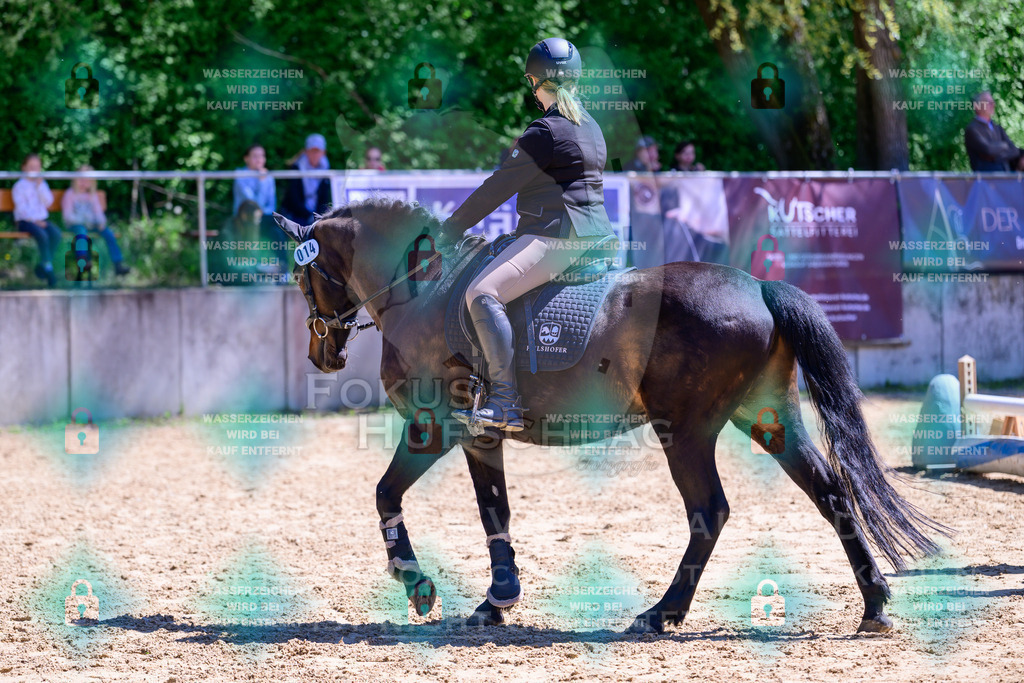 01052026-Giesenbach-02-Stiltrail-0148 | Fokus Hufschlag Fotografie - Realisiert mit Pictrs.com