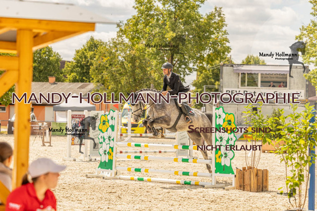 26-7-23 SPR A++-509 | mandyhollmannphotographie