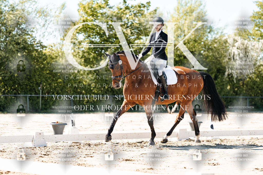 CK905168 | Turnierfotografie Pferdefotografie Trier Rheinland-Pfalz Pferdesport Reitsport Tierfotografie Sportfotografie Pferdevideo Pferdevideografie Equestrianvideography equestrianphotography  - Realisiert mit Pictrs.com