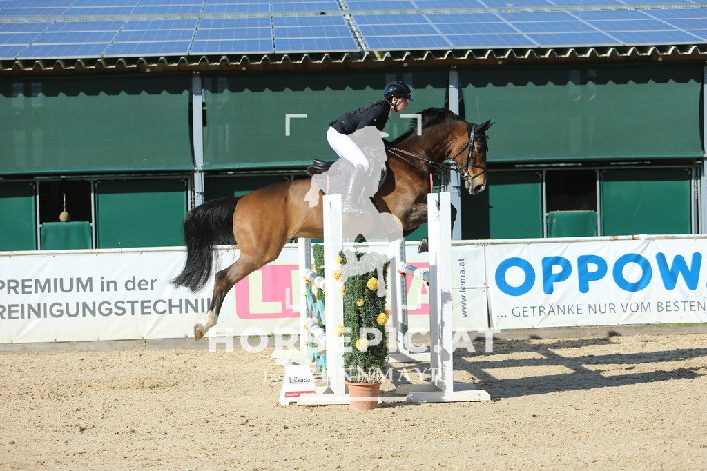 DL2Q1482 | Willkommen bei Brunnmayr - Design & Fotografie – Ihrem Spezialisten für Reitturniere und Pferdeveranstaltungen in Oberösterreich, Salzburg und Bayern! Seit über 17 Jahren sind wir leidenschaftlich dabei.