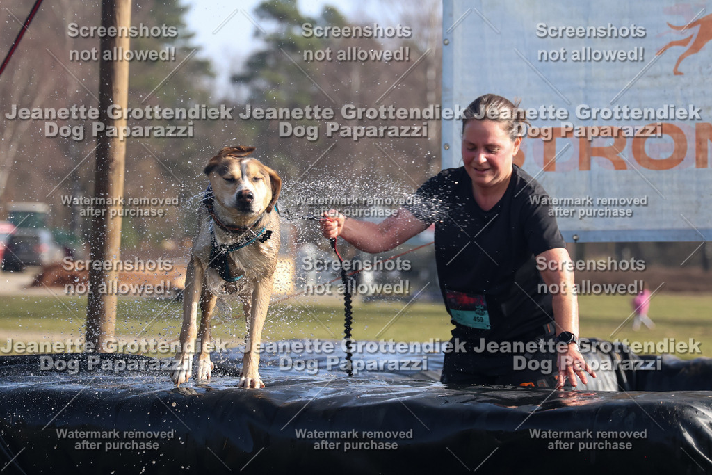 Dog Paparazzi - Strongdog North Mrz26-1109 | Dog Paparazzi Jeanette Grottendiek Fotografie & Videografie - Realisiert mit Pictrs.com
