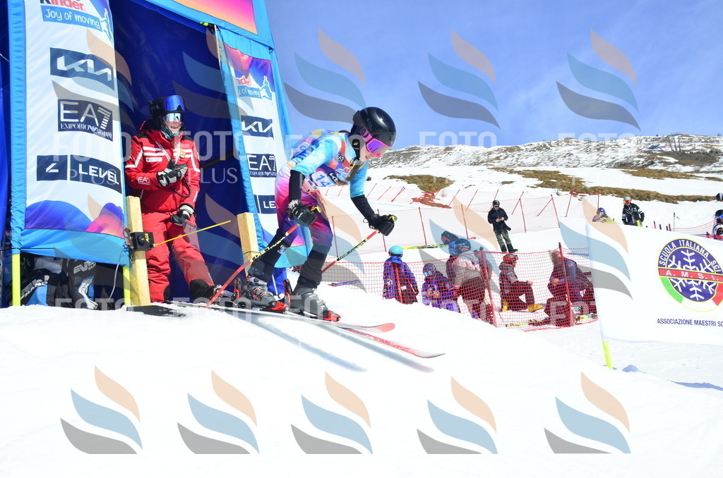 _ELE0946 | holidayphoto