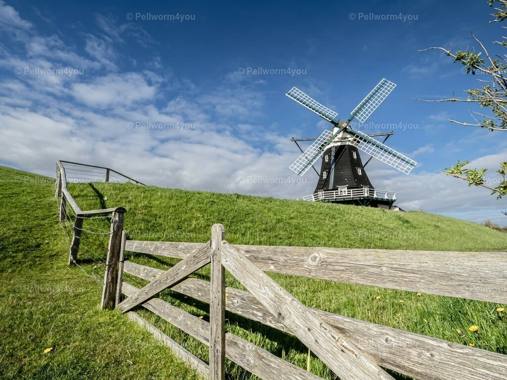 pellworm-kalender-2024-21-denoise-enhance-2x-sharpen | Pellwormer Bilder und Fotos als Poster, auf Leinwand mit Keilrahmen, hinter Acrylglas, auf Alu-Dibond oder Forex-Platte und vieles mehr. Zum verschenken, für die Ferienwohnung oder für zu Hause. - Realisiert mit Pictrs.com