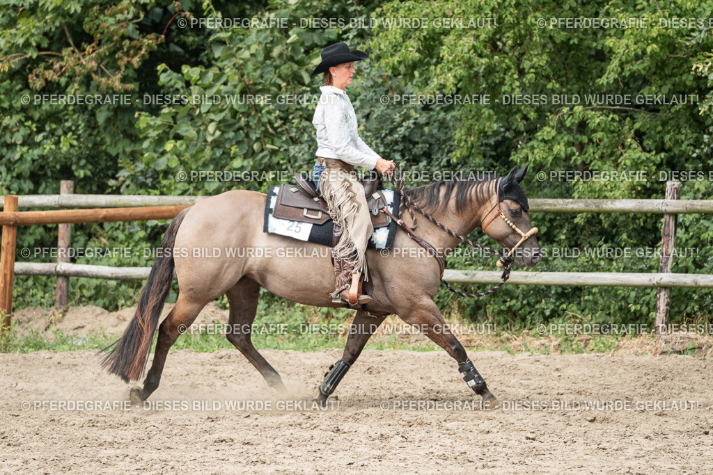 DSC02337 | Pferdegrafie