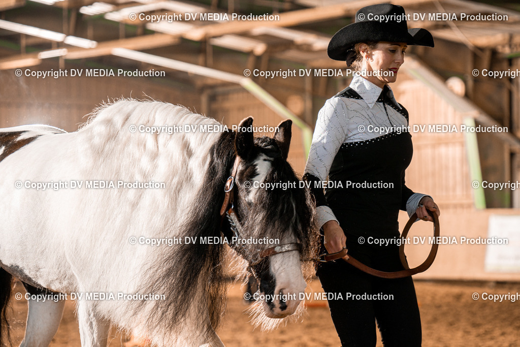 BAL01291 | dv-media-shop - Realisiert mit Pictrs.com