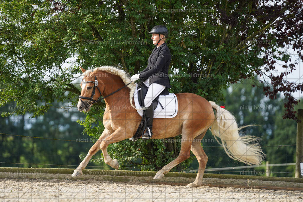 20230826-FAH04536 | Forstinning, 2023, Dressurturnier, Turniersportbilder, Turnierfotografen Bayern, Fotoagentur Herrmann, Reitsportfotografie, Turnierbilder