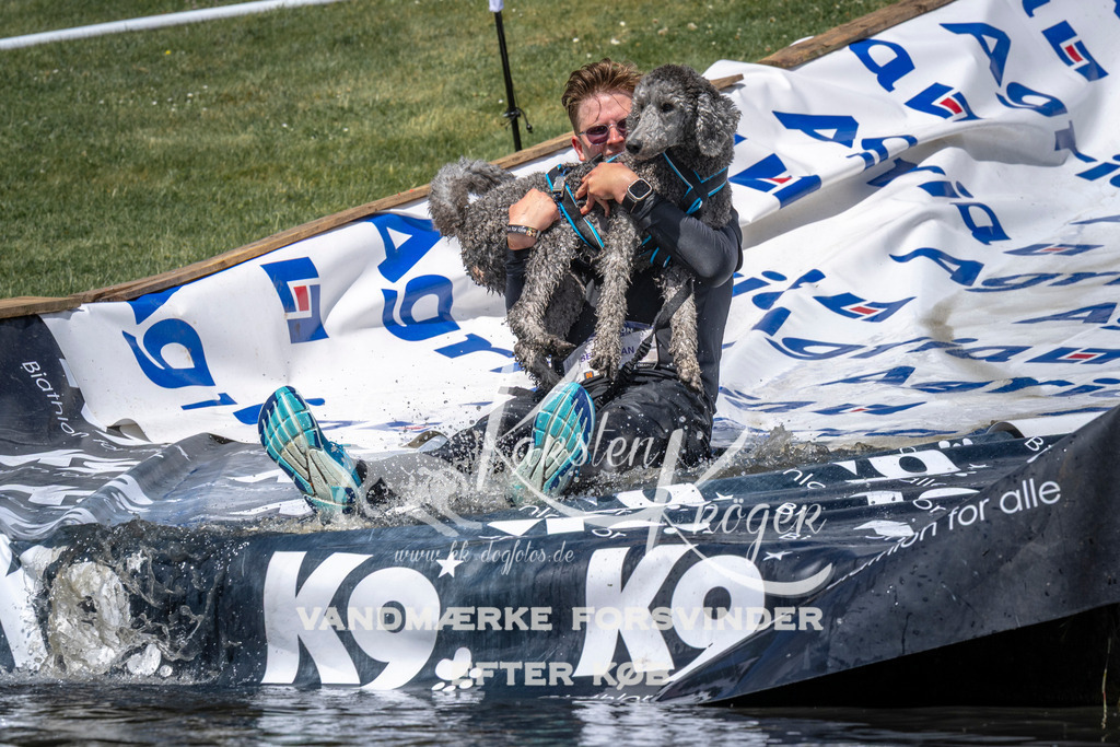 1114_ZZ91594 | kk-dogfotos