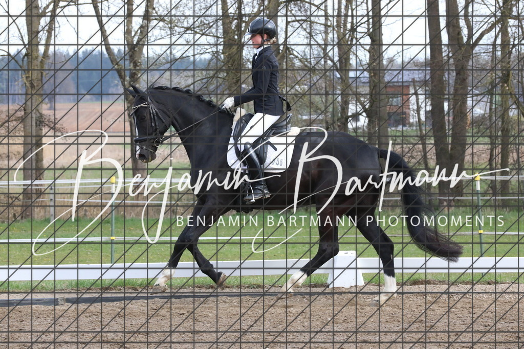 AZ2A6598 | Benjamin Bartmann Photomoments