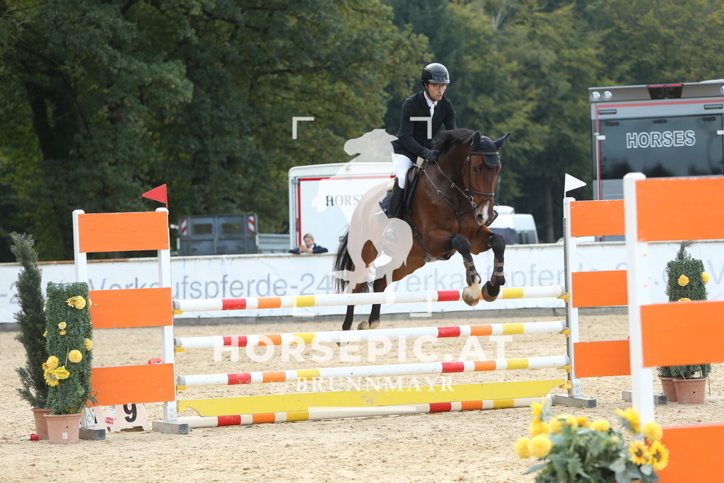 DL2Q7042 | Willkommen bei Brunnmayr - Design & Fotografie – Ihrem Spezialisten für Reitturniere und Pferdeveranstaltungen in Oberösterreich, Salzburg und Bayern! Seit über 17 Jahren sind wir leidenschaftlich dabei.