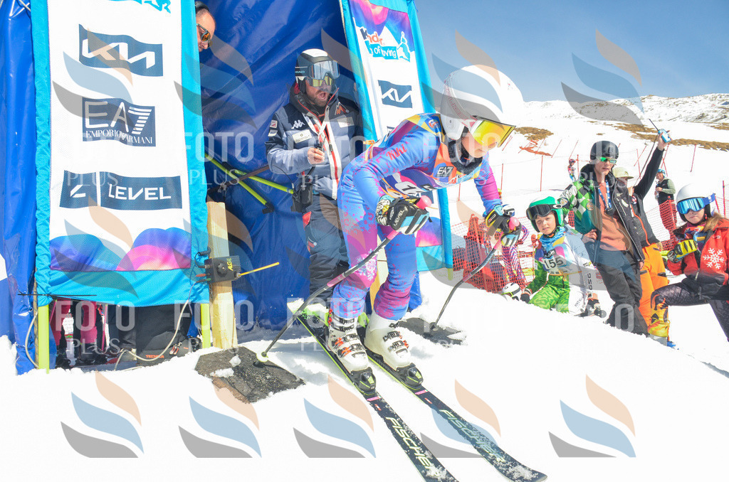 _ELE6005 | holidayphoto