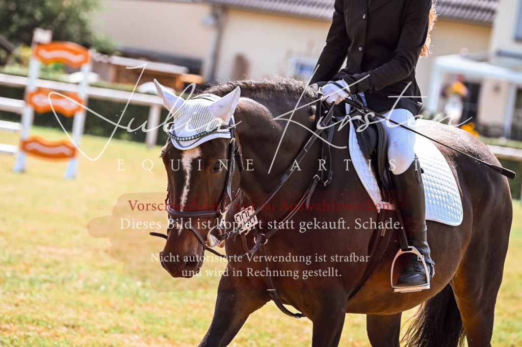 DSC_7180 | Pferde- und Turnierfotografie in Westsachsen. Pferdeportraits, Auftragszeichnungen und intuitive Kunst.