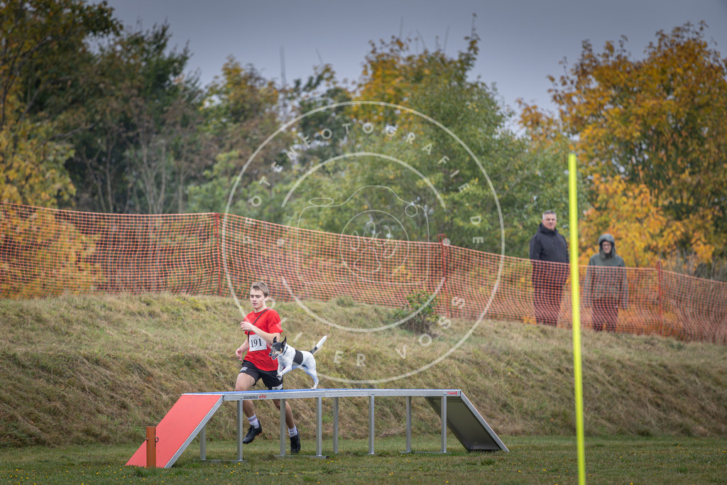 Pfotenfotografie_DV3A0602 | Hundefotografie, Tierfotograf, Pfotenfotografie, Fotoshooting Hund, Hunde Portrait, Hundesport, Hundeportraits, Heideshooting, Hunde, Sportfotograf, Hundefotograf, Turnierhundsport, THS,  - Realisiert mit Pictrs.com