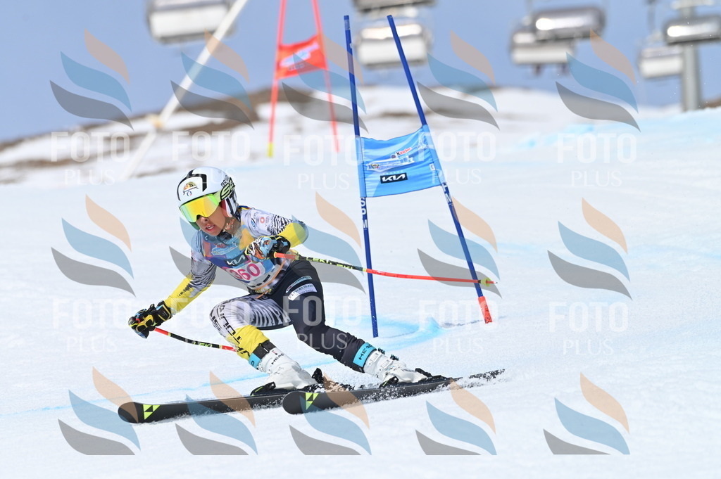 BGV_3843 | holidayphoto