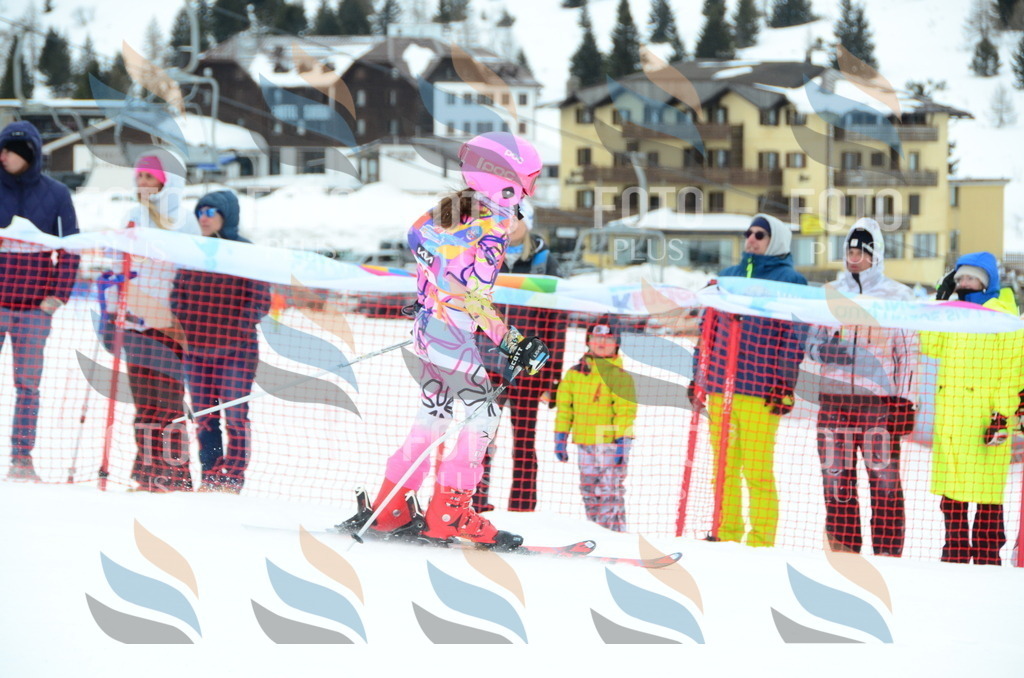 DSC_0806 | holidayphoto