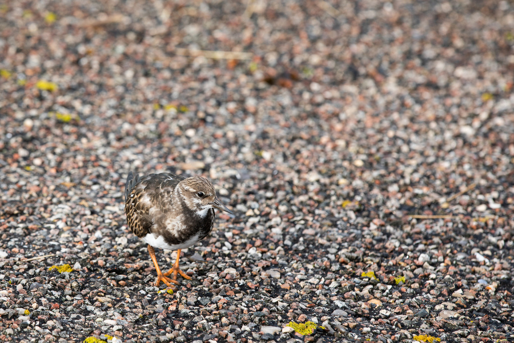 3A0A6183 | codoma - Realisiert mit Pictrs.com