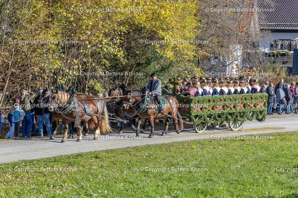 LBT25-575 | foto-bettina-krinner - Realisiert mit Pictrs.com